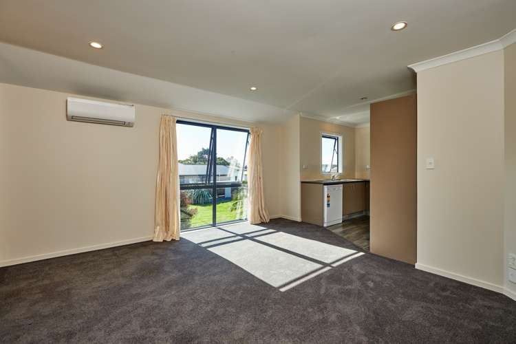 231a Beach Road Kaikoura_7