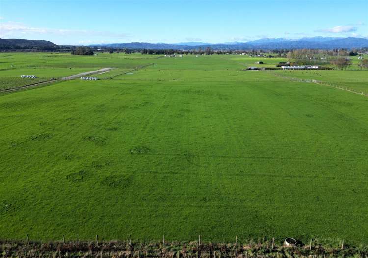 Granville Road West Totara Flat_10