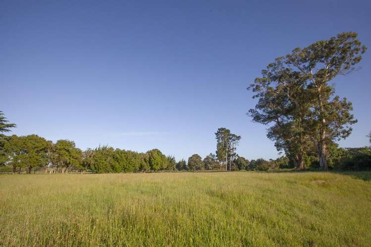 1516B Gordonton Road Taupiri_10