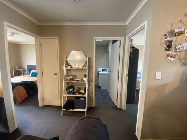 207b Killarney Road Frankton_3