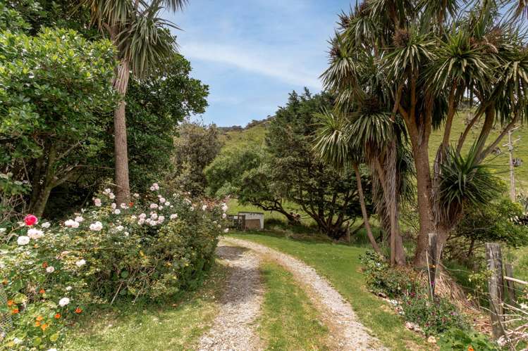 280 Nikau Road, State Highway 67 Nikau_28