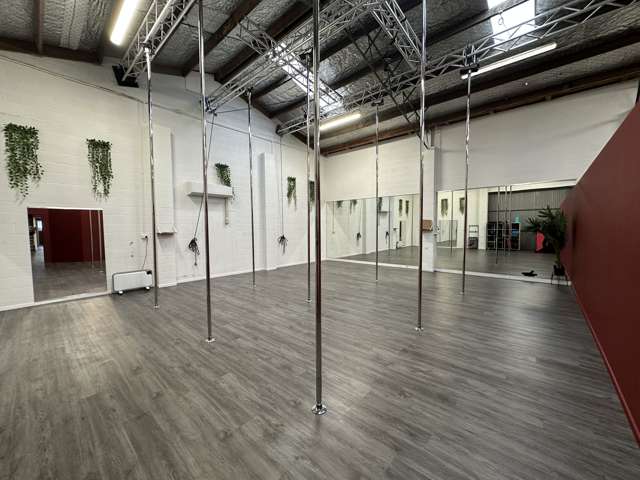 25 Carlyle Street Napier South_3