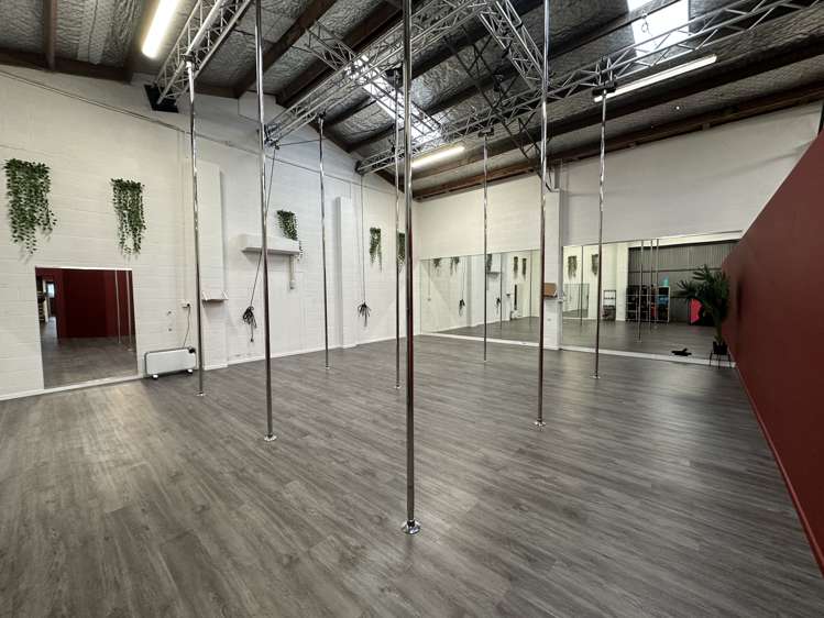 25 Carlyle Street Napier South_3