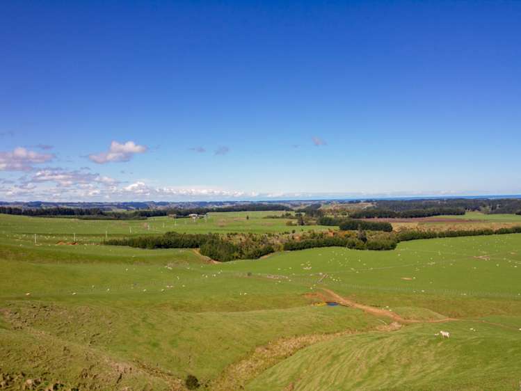 438 Omahina Road Waverley_20