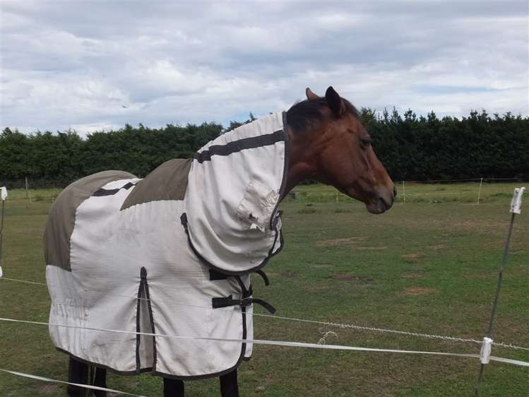 627 Yaldhurst Road Yaldhurst_22