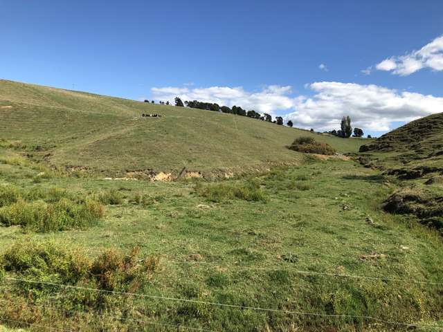 35 Grove Access Road Te Pahu_3