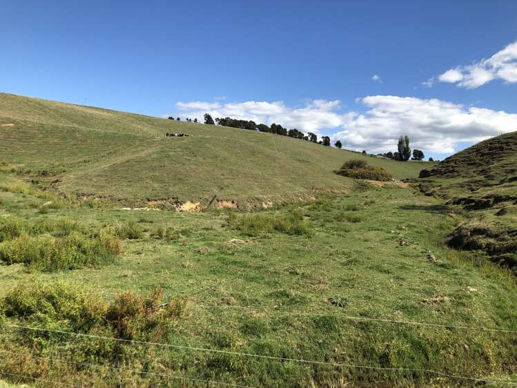 35 Grove Access Road Te Pahu_3