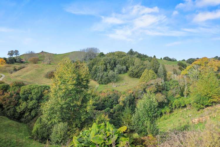 341 Mangarino Road Te Kuiti_18