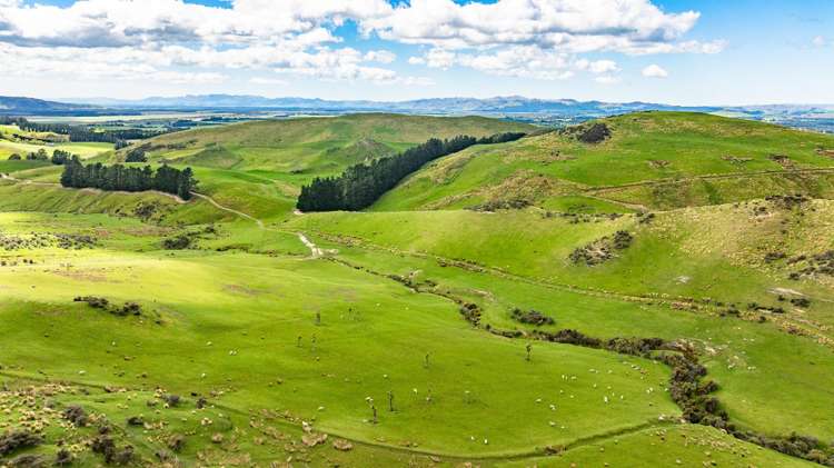 1157 The Peaks Road Hawarden_9