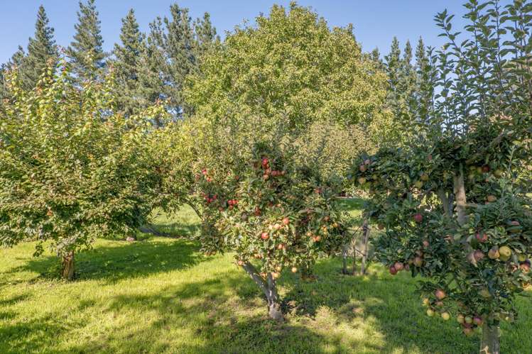 238 Beach Road East Elgin_21