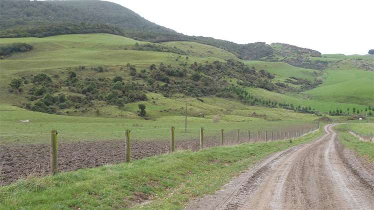 44 Rodgers Road Catlins Surrounds_7