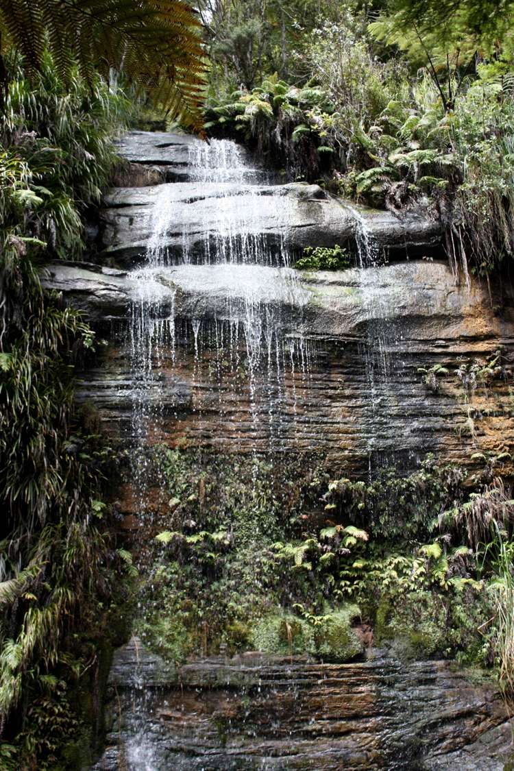 448 Moir Hill Road Warkworth_30