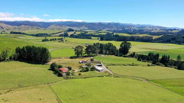 412 France Road Matamau_31