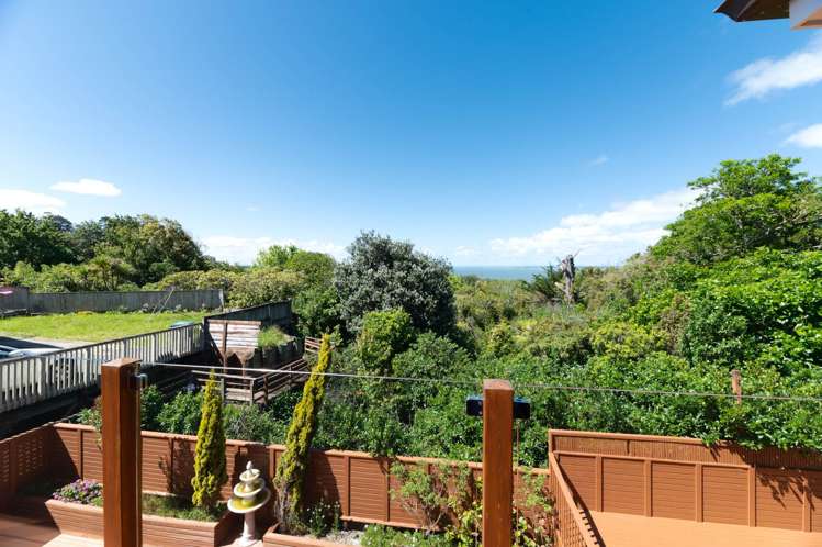 105c Halsey Drive Lynfield_20