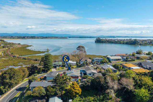 86 Princess Road Bellevue_2