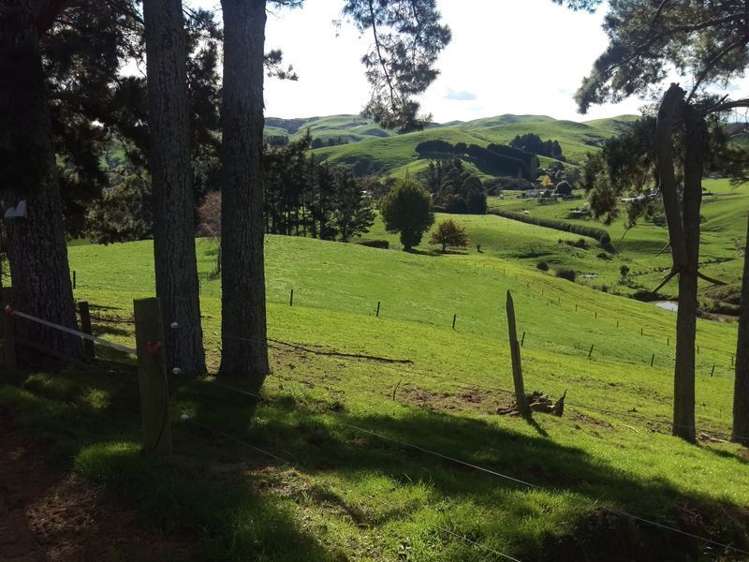 648 Scotsman Valley Road Tauwhare_18