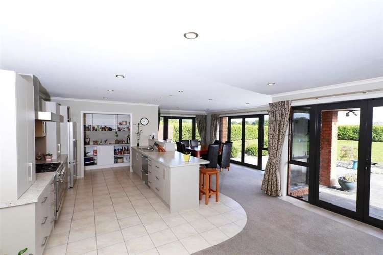 67a Davison Road Newstead_7