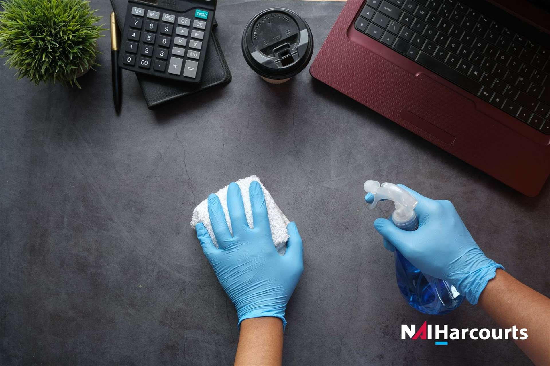 Home & Commercial Cleaning Business Christchurch Central_0