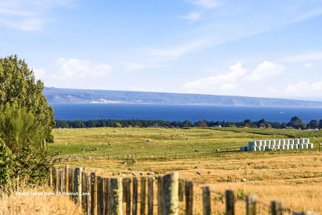 23 Walnut Lane Nukuhau_1