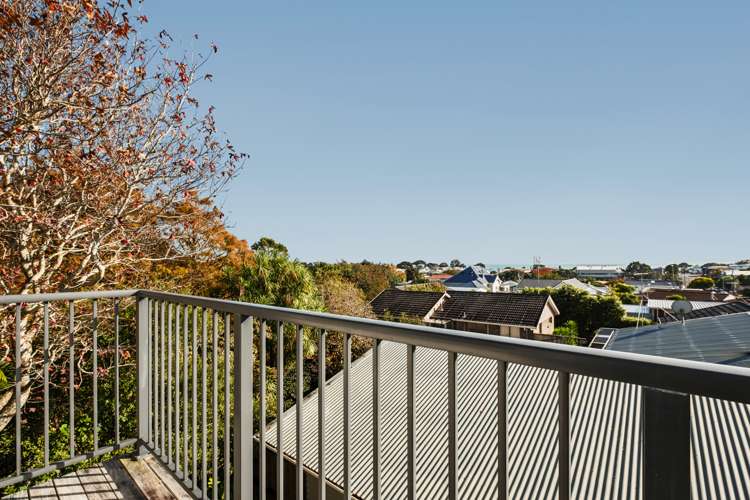 64 Cutfield Road New Plymouth Central_19