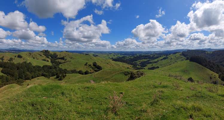 632 Marlow Road Maromaku_10