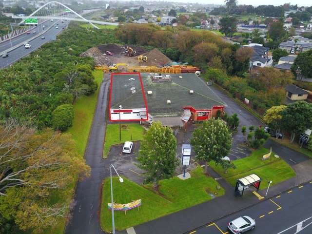 211 Richardson Road Mt Roskill_1