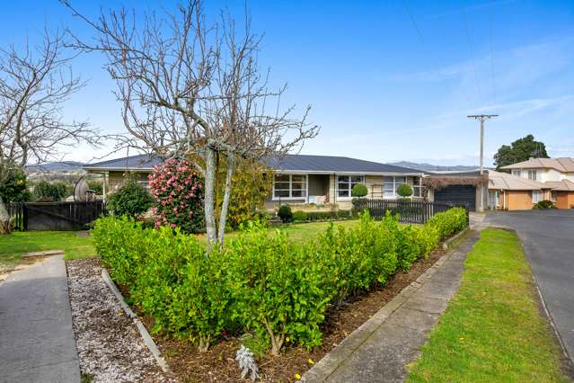 46 Waimapu Street Greerton_1