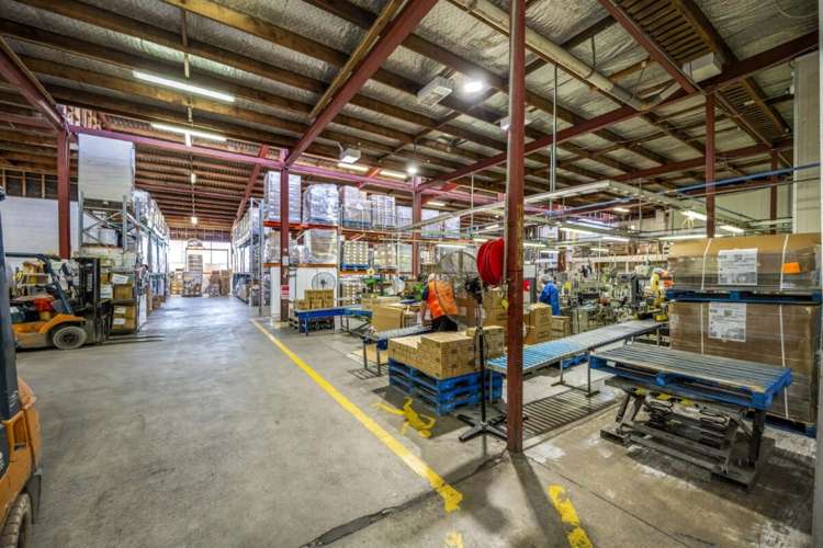 9 Canon Place Pakuranga_9