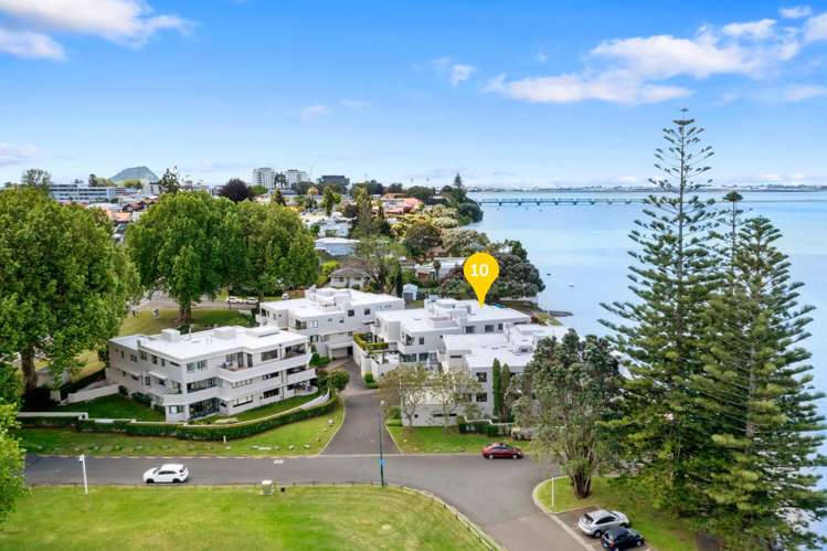 10/2 Sixth Avenue Tauranga Central_19