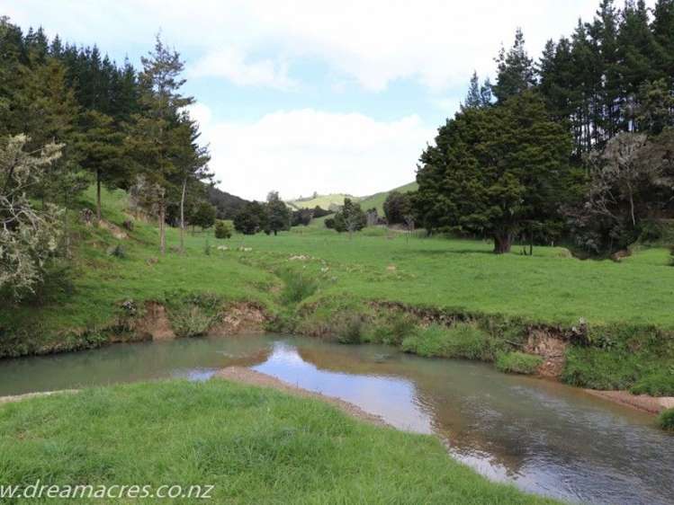 242 Owae Road Russell Surrounds_21