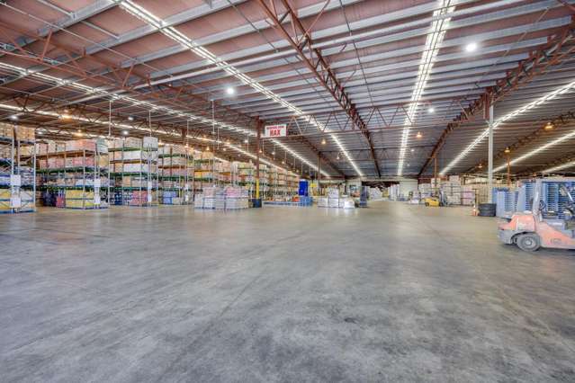 113 Elwood Road Tomoana_2