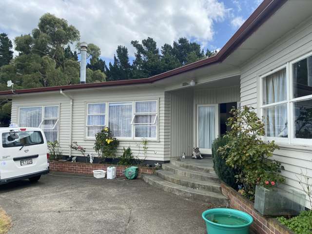 55 Beatty Road Dannevirke_2