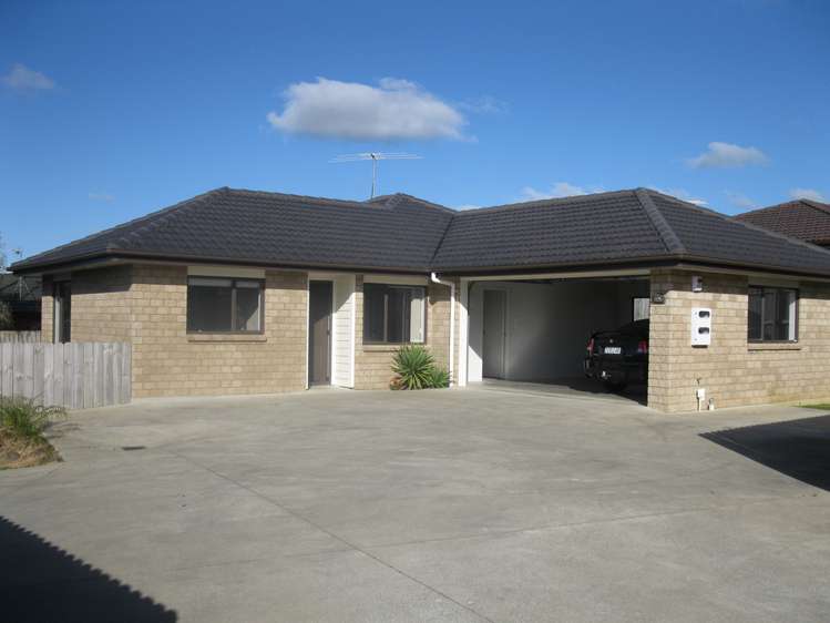 25 Ranchod Terrace Pukekohe_0