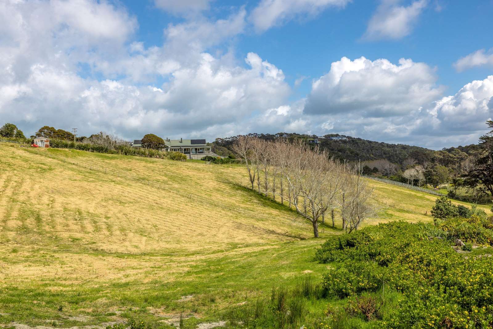 54 Korora Road in Oneroa, Waiheke Island, Auckland