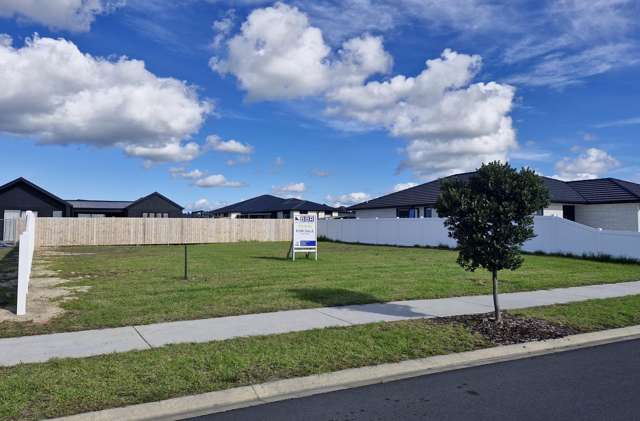 113 Kaurinui Crescent One Tree Point_2