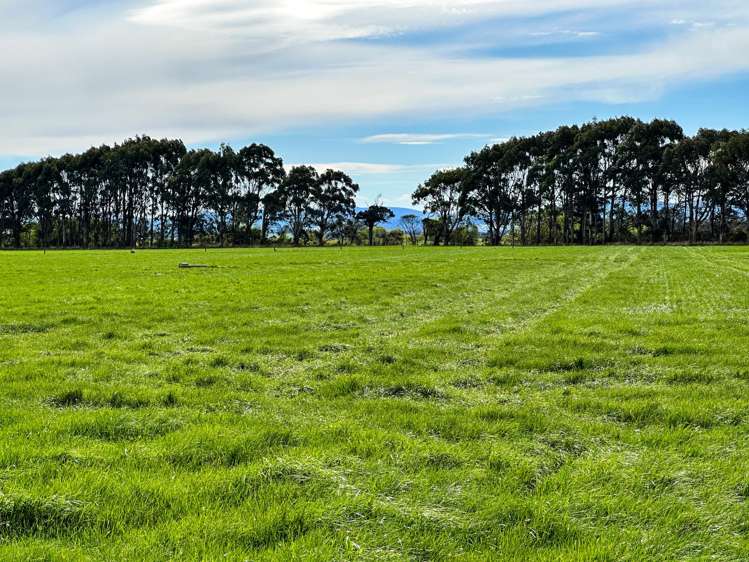 78 Channel Road Tussock Creek_6