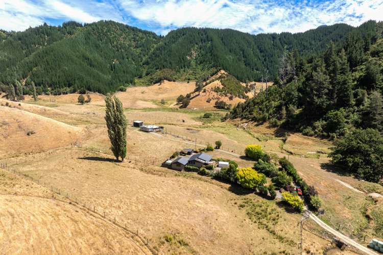 407 Onamalutu Road Wairau Valley_45