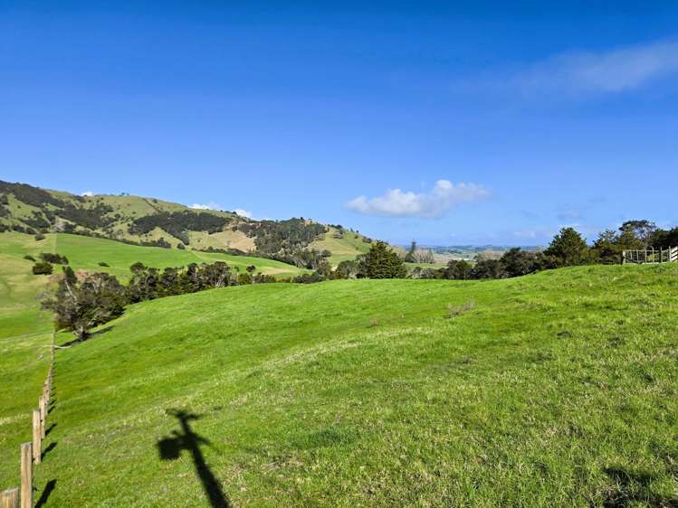 Whakahara Road Dargaville_12