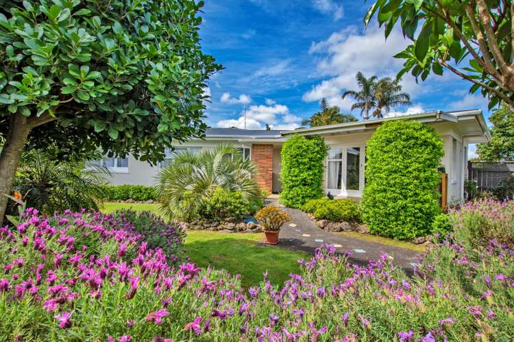 18 Radcliffe Street Kensington_0