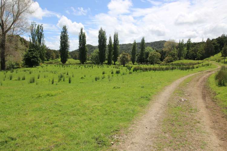 Irvine Road Ruatangata_1