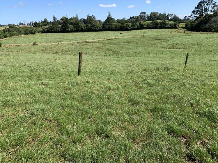 2121 Mountain Road Tariki_8