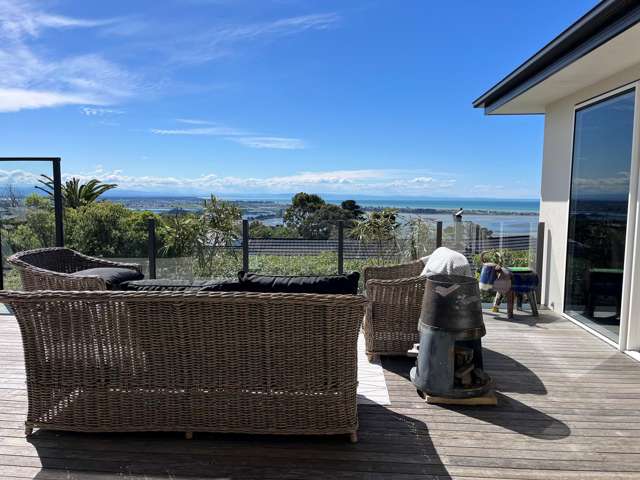 105 Major Hornbrook Road Mount Pleasant_1