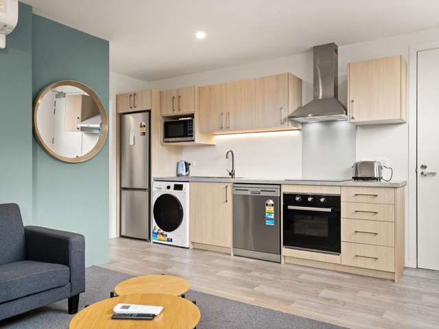 7, 9, 11/33 Malvern Street Woodhaugh_4