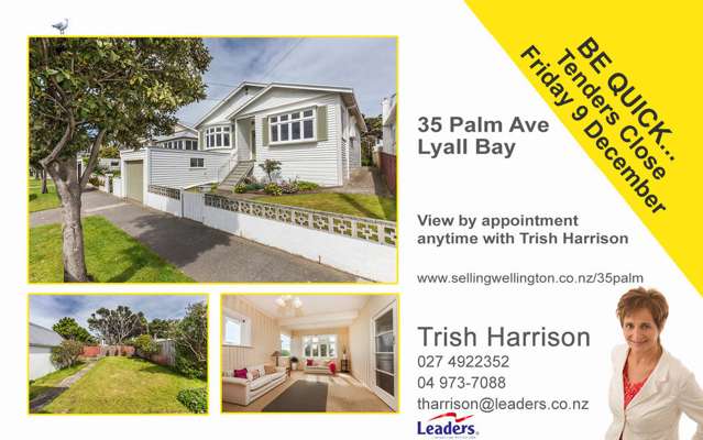 35 Palm Avenue Lyall Bay_1