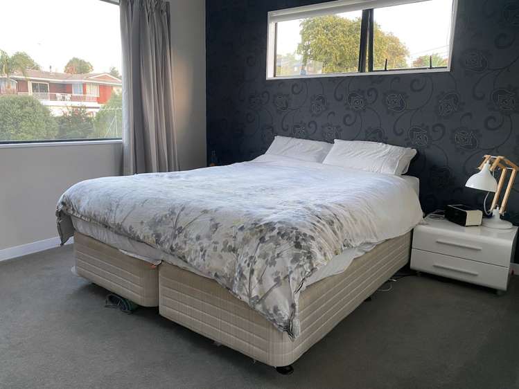 15b Mcilroy Avenue Hillsborough_7