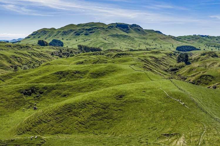 1262 - 1520 Maraetotara Road Waimarama_16