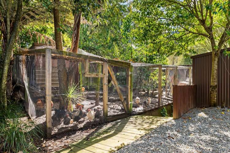 212 Valley Road Mangapapa_21