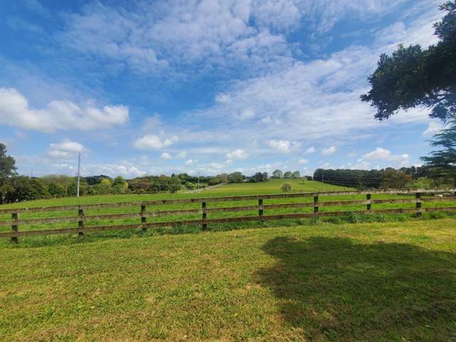 310 Fitzgerald Road Drury_2