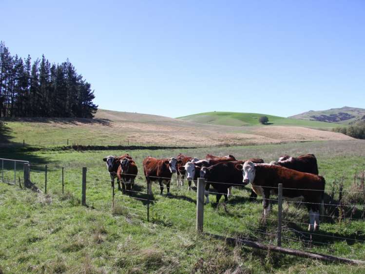 562 Leader Road West Waiau_7