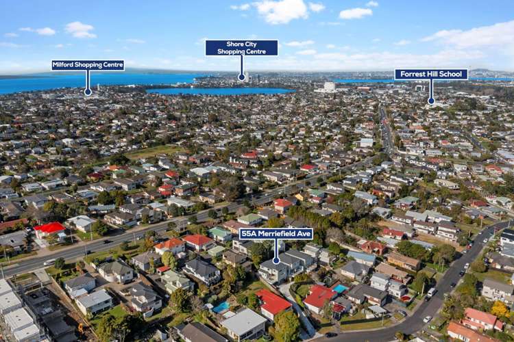 55a Merriefield Avenue Forrest Hill_17